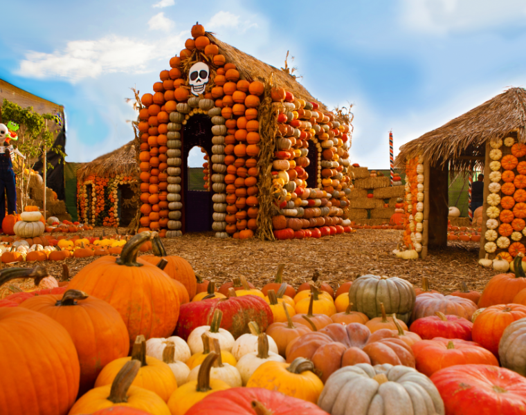 best los angeles pumpkin patches