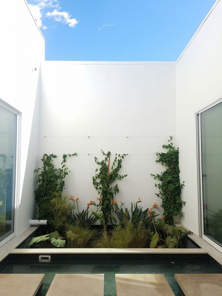 Inside Mansur Gavriel’s Minimalist Bag Wonderland and Café on Melrose Place