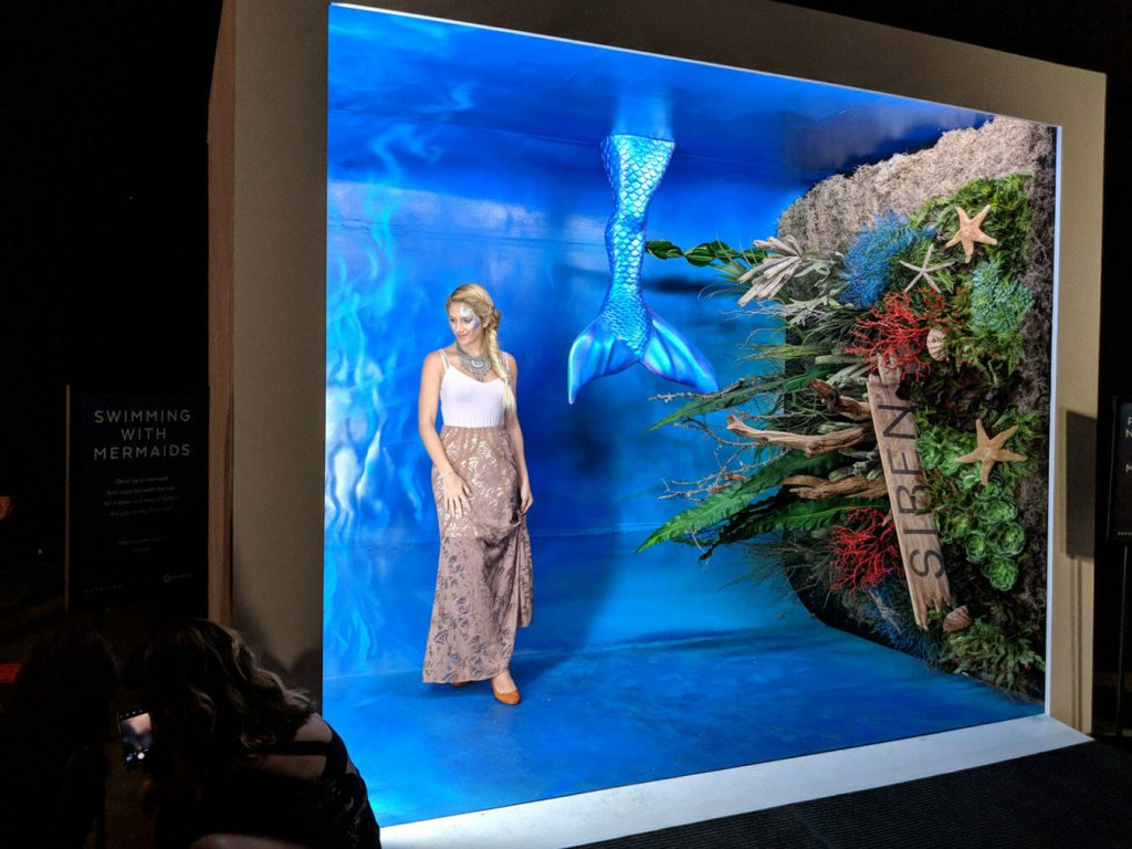 Photos LA’s Mermaid Museum Promises A Giant Oyster, An Underwater