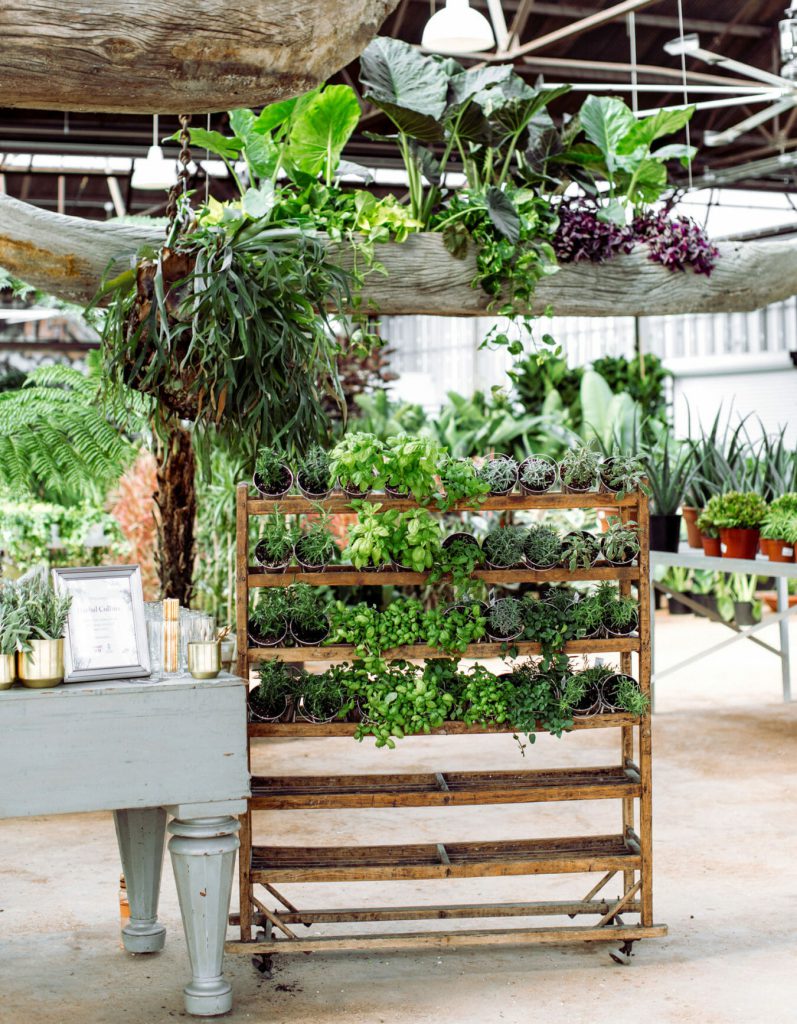 Rolling Greens Took Over an Entire City Block For Its Newest Home