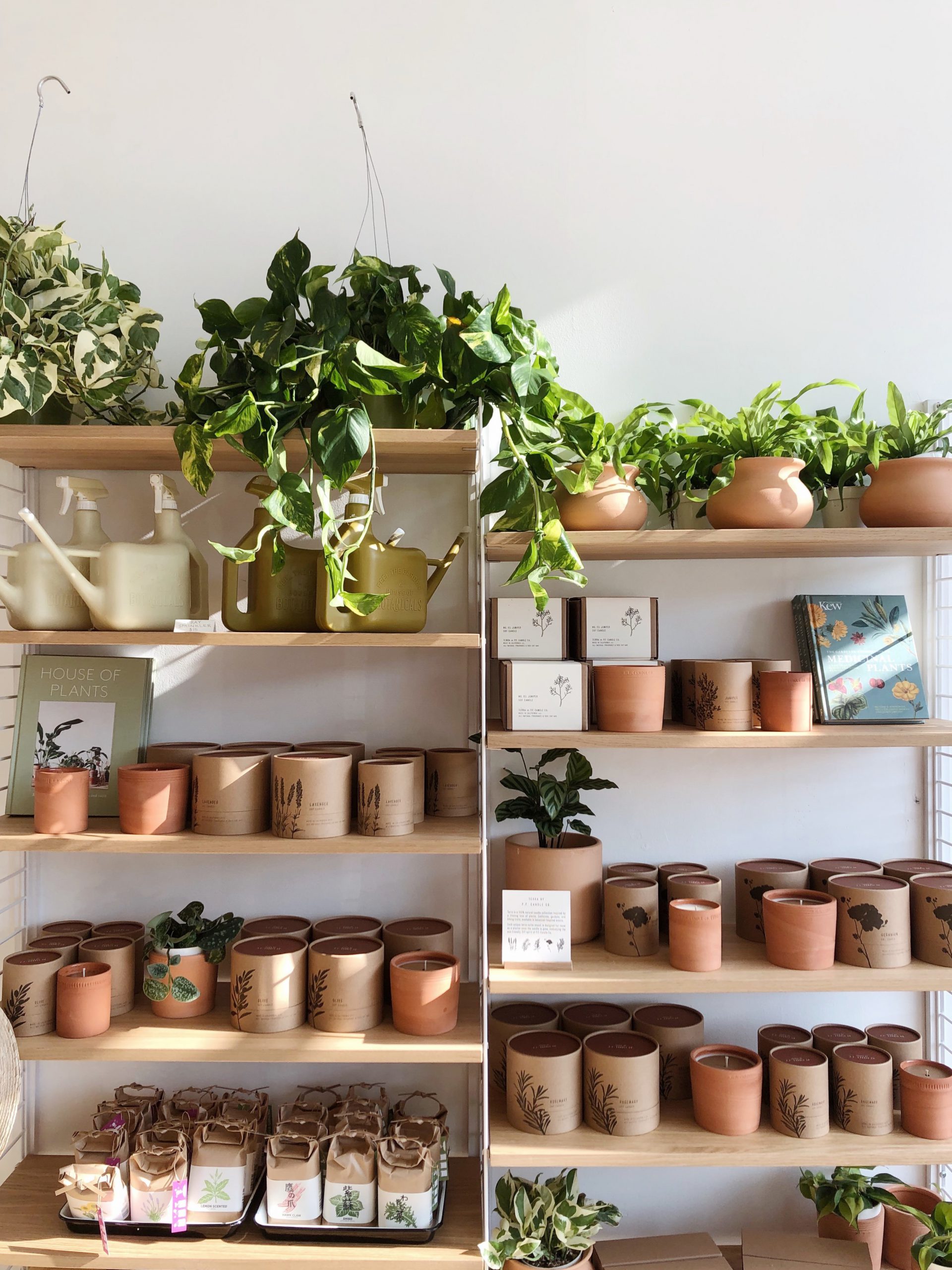 P.F. Candle Co.’s FirstEver Store Brings WoodsyBotanical Scents