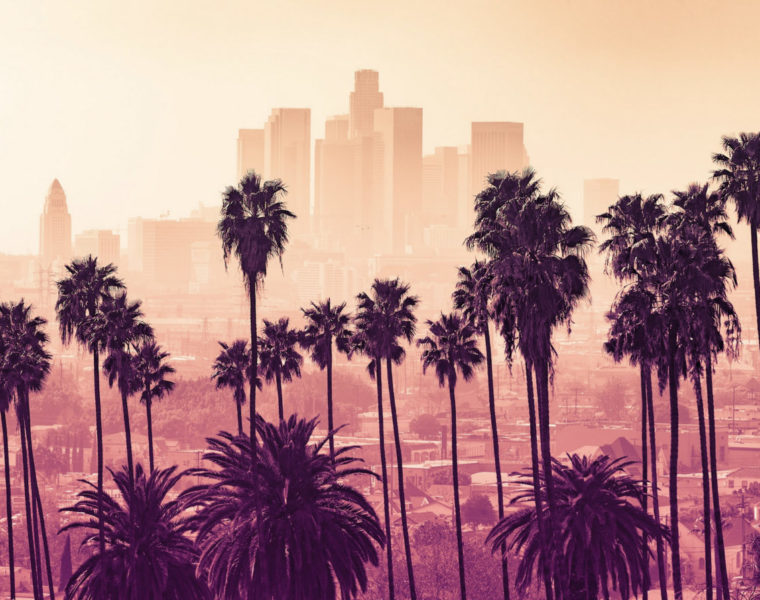 Photo: J. Dennis/Shutterstock