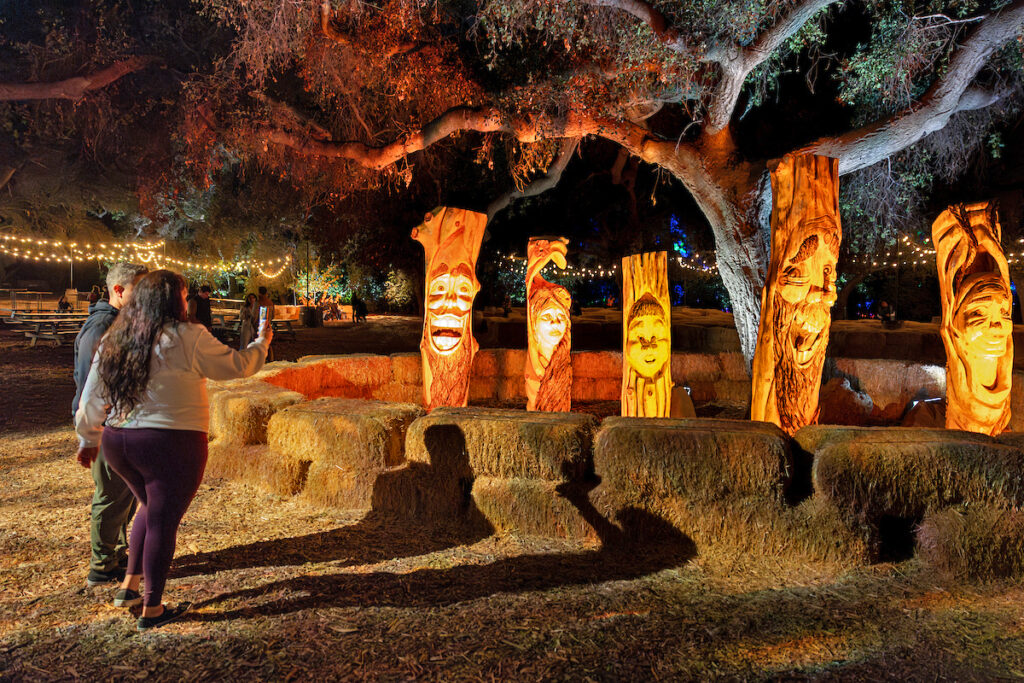 Installation by Chainswaw Jenna at Descanso Gardens' Carved.