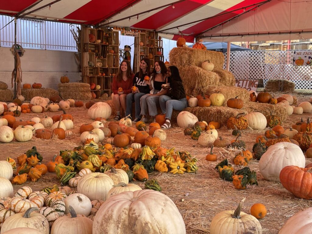 Mr. Jack O' Lantern's Pumpkin Patch West LA